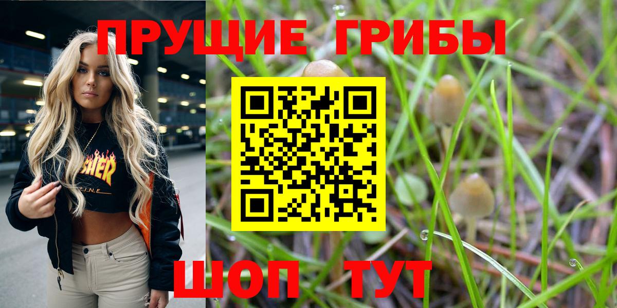 Галлюциногенные грибы ЛСД Ревда
