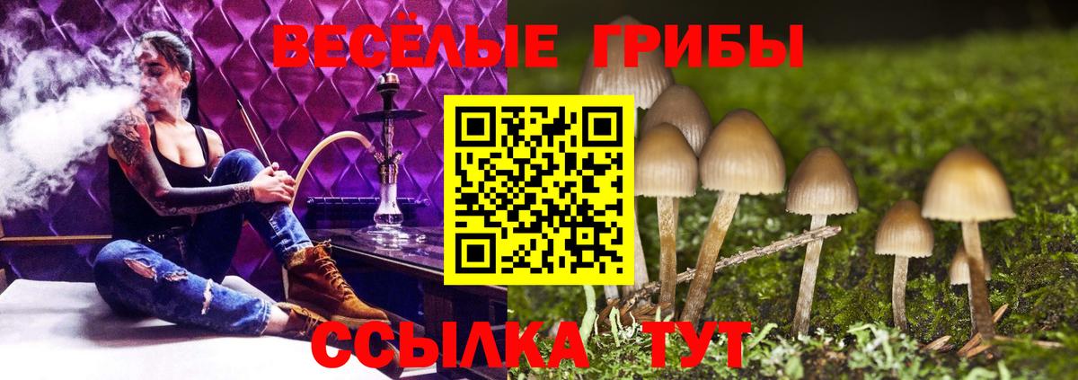 Псилоцибиновые грибы мухоморы  Вход с VPN  Галлюциногенные грибы ЛСД  Ревда 